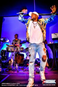 Arrasando 2018 Party 440