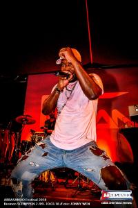 Arrasando 2018 Party 495