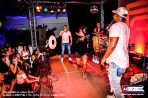 Arrasando 2018 Party 539